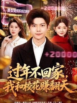 过年不回家，我和校花赚翻天海报